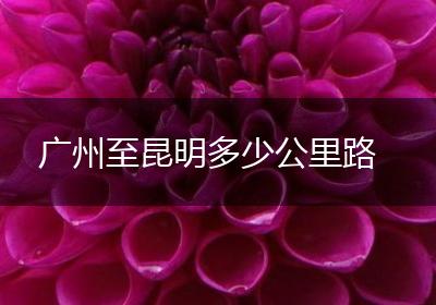 广州至昆明多少公里路