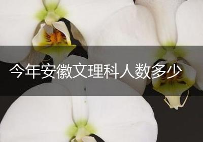 今年安徽文理科人数多少