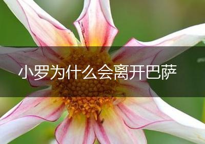 小罗为什么会离开巴萨