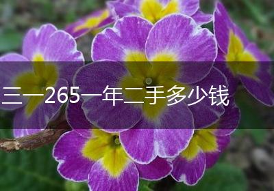 三一265一年二手多少钱