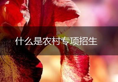 什么是农村专项招生