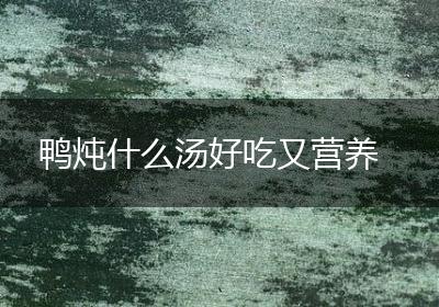 鸭炖什么汤好吃又营养