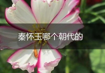 秦怀玉哪个朝代的