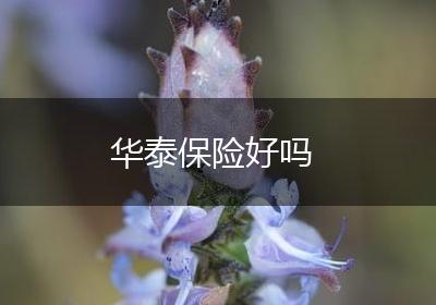 华泰保险好吗