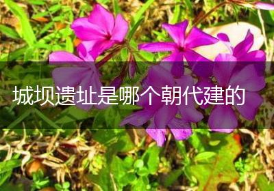 城坝遗址是哪个朝代建的