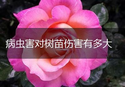 病虫害对树苗伤害有多大