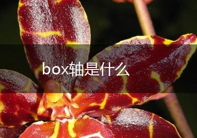 box轴是什么