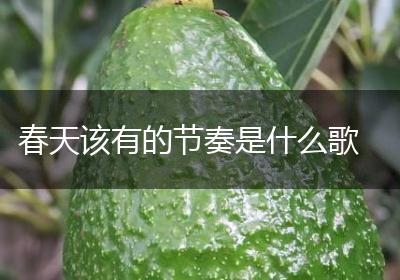 春天该有的节奏是什么歌