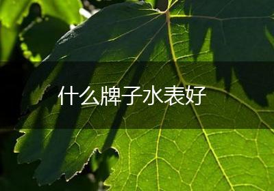 什么牌子水表好