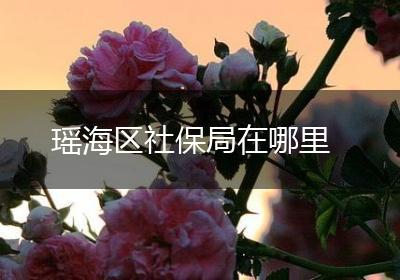 瑶海区社保局在哪里
