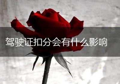 驾驶证扣分会有什么影响