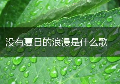 没有夏日的浪漫是什么歌