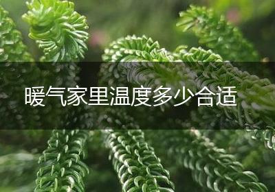 暖气家里温度多少合适