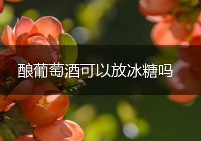 酿葡萄酒可以放冰糖吗