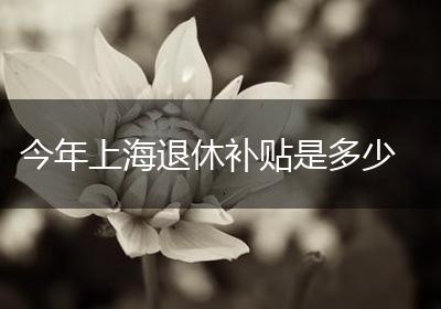 今年上海退休补贴是多少