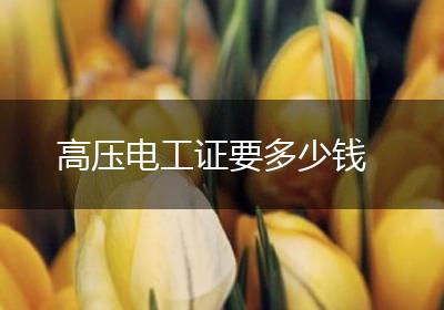 高压电工证要多少钱