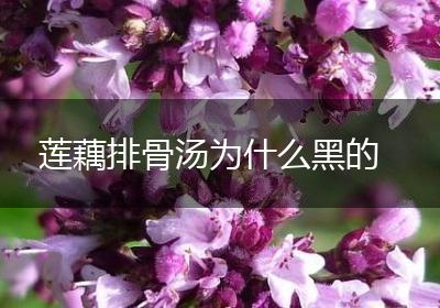 莲藕排骨汤为什么黑的