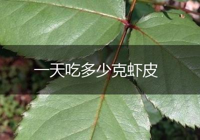一天吃多少克虾皮