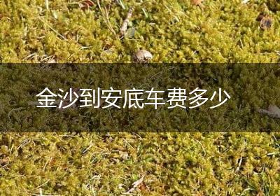 金沙到安底车费多少