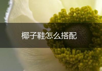 椰子鞋怎么搭配