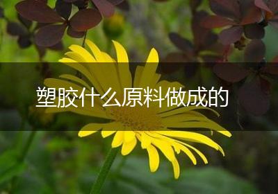 塑胶什么原料做成的