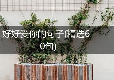 好好爱你的句子(精选60句)