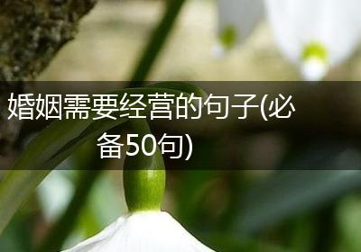婚姻需要经营的句子(必备50句)
