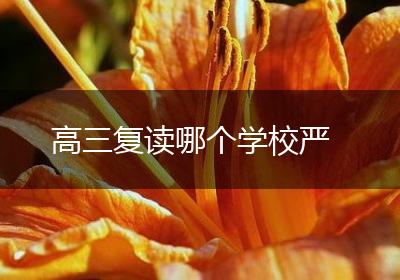 高三复读哪个学校严