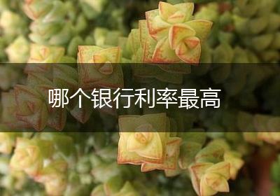 哪个银行利率最高