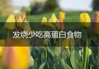 发烧少吃高蛋白食物