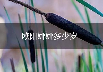 欧阳娜娜多少岁