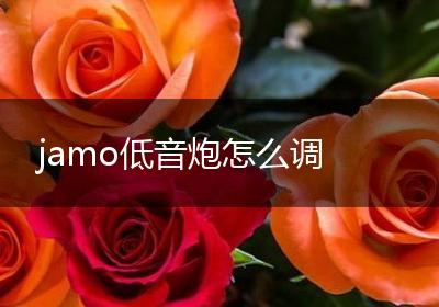 jamo低音炮怎么调