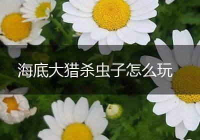 海底大猎杀虫子怎么玩