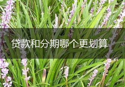 贷款和分期哪个更划算