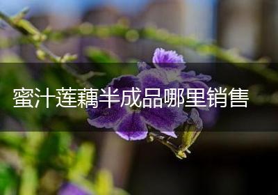 蜜汁莲藕半成品哪里销售