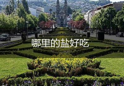 哪里的盐好吃