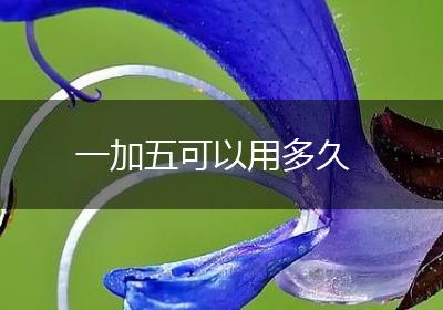 一加五可以用多久