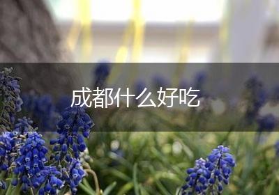 成都什么好吃
