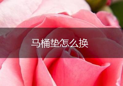 马桶垫怎么换