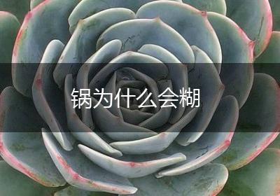 锅为什么会糊