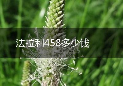 法拉利458多少钱