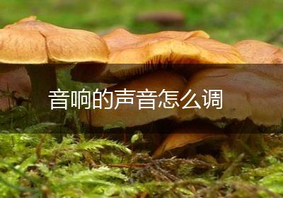 音响的声音怎么调