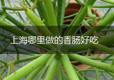 上海哪里做的香肠好吃