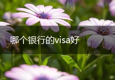 哪个银行的visa好