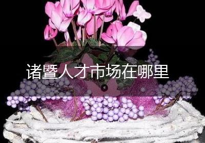 诸暨人才市场在哪里