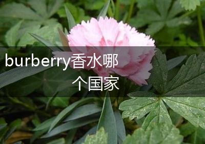 burberry香水哪个国家