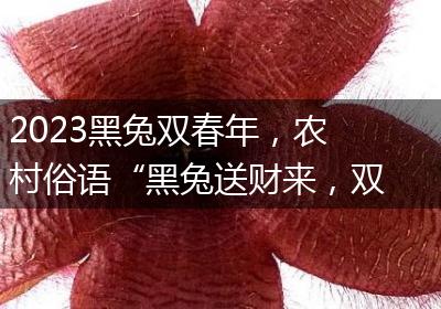 2023黑兔双春年，农村俗语“黑兔送财来，双春麦当柴”是啥意思？