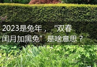 2023是兔年，“双春闰月加黑兔”是啥意思？