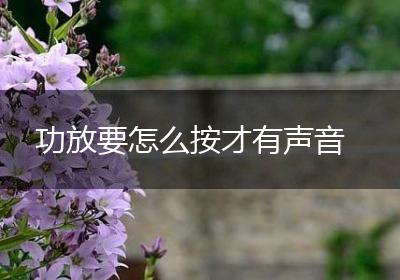 功放要怎么按才有声音