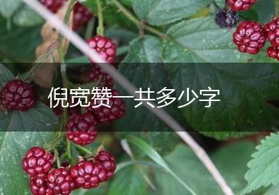 倪宽赞一共多少字